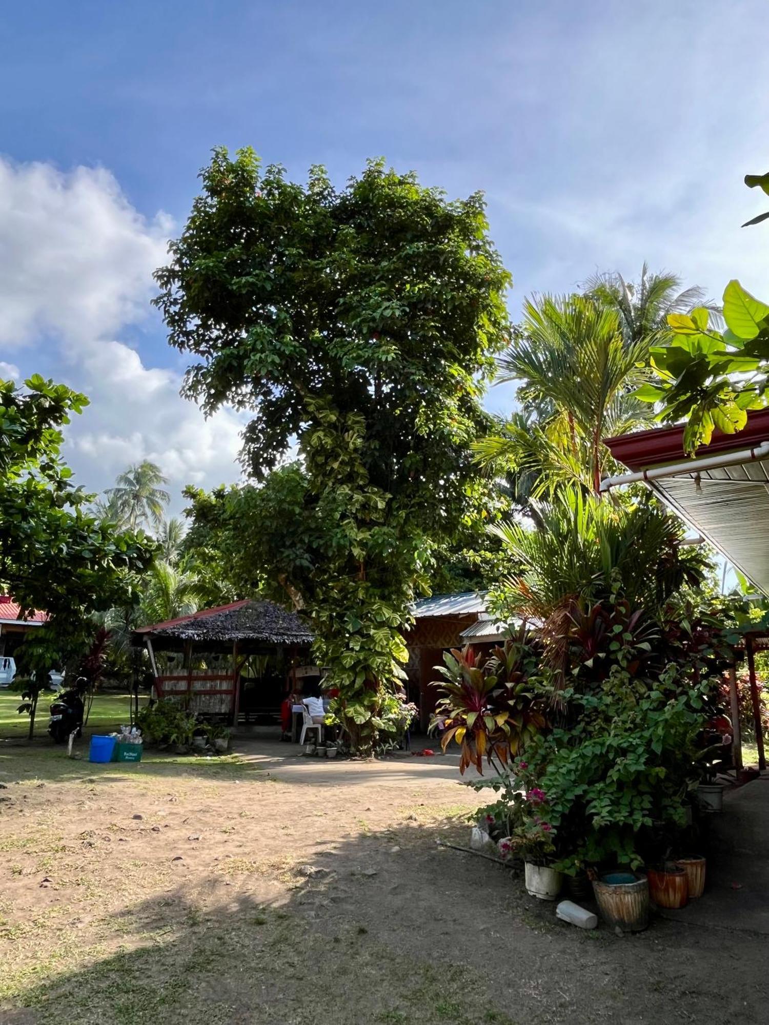Paco'S Garden Home Stay Mambajao Bagian luar foto